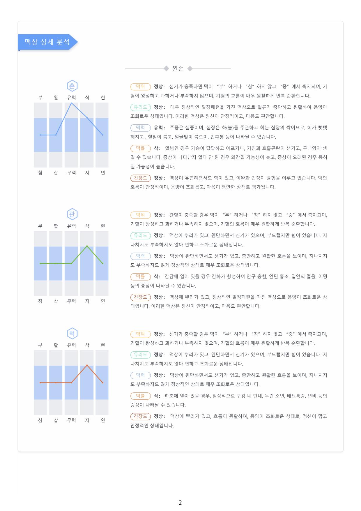 맥진 보고서 예시1-2