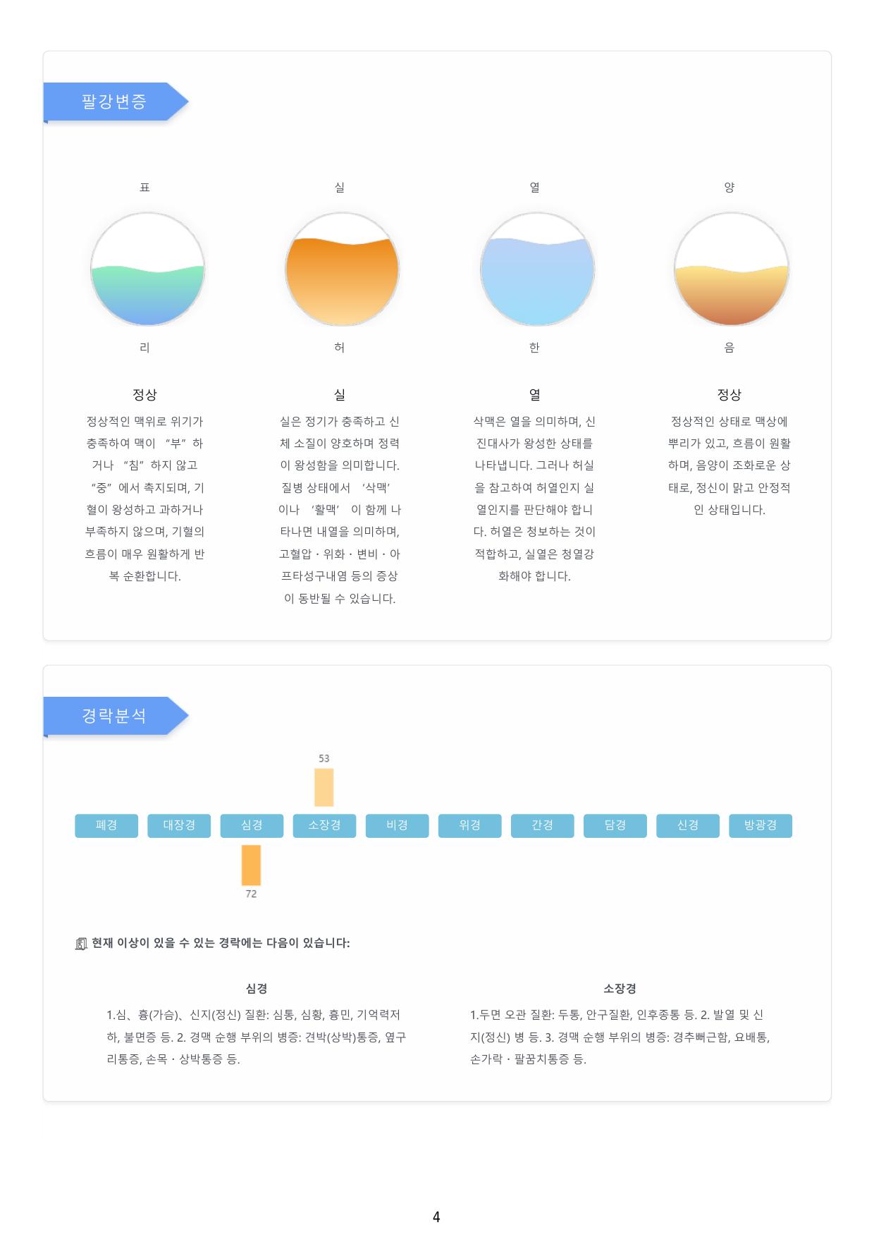 맥진 보고서 예시1-4