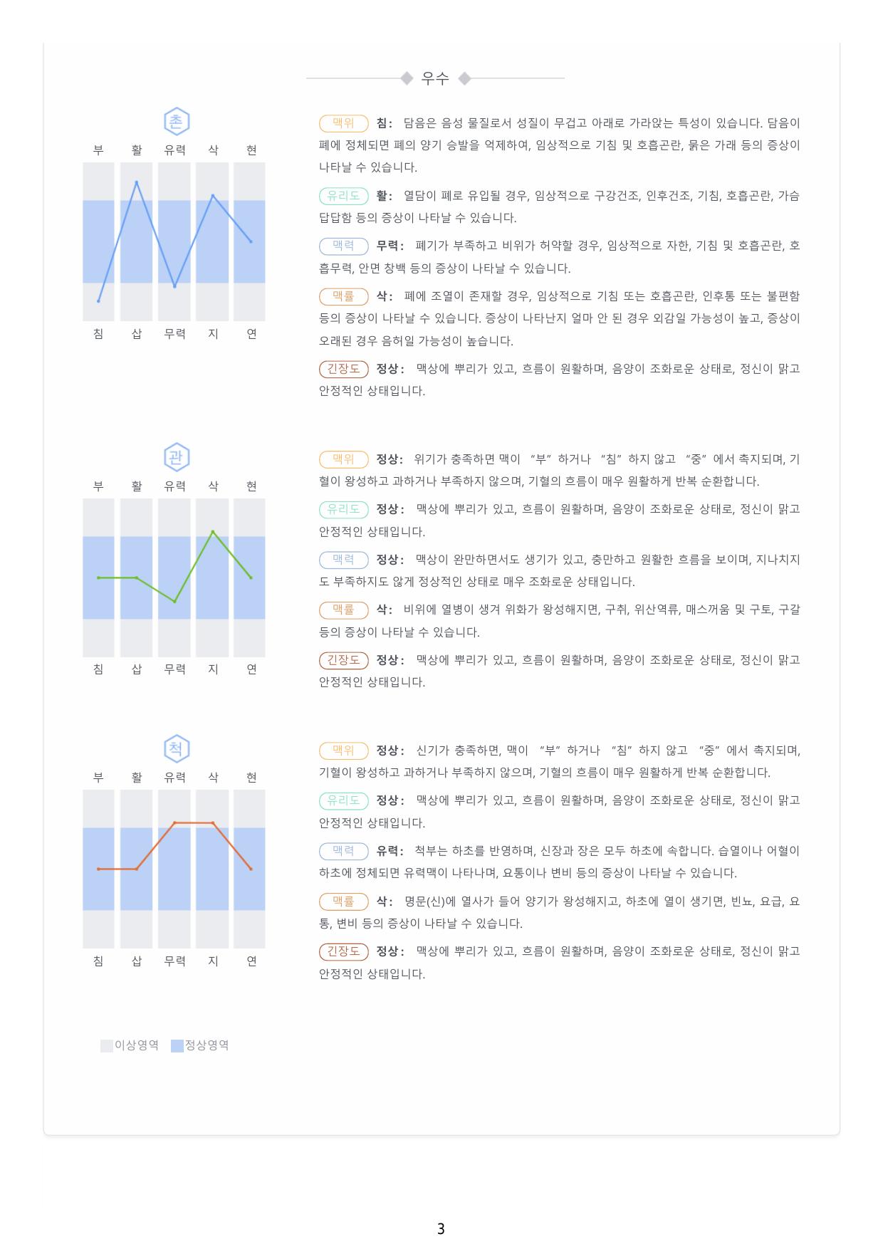 맥진 보고서 예시2-3